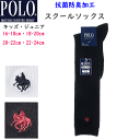 メール便発送 POLO B.C.S. ポロ ビーシーエス ハイソックス 16-24cm School Line 抗菌防臭 ブランド スクール用 スクールソックス 靴下 レディース PL0356 入学式 卒業式 フォーマル 冠婚葬祭 プレゼント トラッド GUNZE グンゼ 楽天 通販 定番 メール便送料込み
