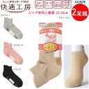 メール便発送 2足組 まとめ買い グンゼ 快適工房 思いやり設計 履きくちゆったりすべり止め付 抗菌防臭 足底パイル ネームスペース 介護用 老人ホーム レディース 綿混 ソックス 婦人 靴下 GUNZE 冷え取り靴下 プレゼント 母の日 敬老の日 楽天 GQV551 メール便送料込み