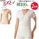 2枚組 まとめ買い グンゼ GQ-1 快適仕様 V型三分袖スリーマー 綿100% 半袖インナー コットン100% インナー ゆったり GUNZE 婦人 アンダー レディース肌着 下着 GQ4050H 新作 定番 母の日 敬老の日 介護 プレゼント ギフト 楽天 通販 送料込み