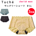 3枚組 まとめ買い グンゼ Tuche トゥシェ お肌にやさしい レース サニタリーショーツ M L LL cherish moon チェリッシュムーン 着心地ラク 上下可愛いセット 下着 女性 可愛い オシャレ キレイなシルエット Tuche TC6871 新作 母の日 プレゼント 女性 楽天 通販 送料込み