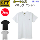 3枚組 まとめ買い ホーキンス メンズ VネックTシャツ V首 綿100% M L LL G.T.HAWKINS コットン100% クルーネック 半袖 Tシャツ メンズ下着 紳士 肌着 半袖Tシャツ 父の日 敬老の日 プレゼント ギフト アンダーウエア HK2115B 新作 年間 定番 楽天 通販 送料込み