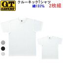 2枚組 まとめ買い ホーキンス メンズ クルーネック Tシャツ 綿100% 丸首 G.T.HAWKINS 半袖 Tシャツ 2P メンズ下着 紳士 肌着 半袖Tシャツ 2PACK 父の日 敬老の日 ギフト プレゼント プチギフト インナーウエア 天竺 コットン100% HK10132 楽天 通販 年間 定番 送料込み