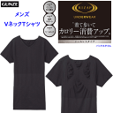 グンゼ RIZAP ライザップ VネックTシャツ シームレスタイプ メンズ 半袖 インナー ウエスト引き締め 体感サポート GUNZE 紳士 父の日 プレゼント...