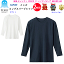 2枚組 まとめ買い グンゼ アセドロン 年間定番 オールシーズン ロングスリーブシャツ メンズ 長袖シャツ 丸首 グンゼ最高クラス 汗解消 テクノロジー 吸湿速...