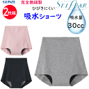 2枚組 まとめ買い メール便発送 グンゼ セルフェア 完全無縫製 吸水ショーツ 吸水量 30cc対応 レギュラーショーツ スリム 3層構造 GUNZE 肌着 レディース インナー 下着 レディース CI5062B 年間定番 新作 定番 母の日 敬老の日 プレゼント 女性 楽天 通販 メール便送料込み