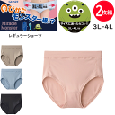2枚組 まとめ買い メール便発送 グンゼ ミラクルモンスター 大きなサイズ レギュラーショーツ 3L-4L対応 レディース 伸びる 締め付けにくい 食い込みにくい 伸縮 ストレッチ 黒 GUNZE 肌着 いいここち 快適ショーツ HZ4770 母の日 プレゼント 楽天 通販 メール便送料込み