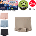 2枚組 まとめ買い メール便発送 大きなサイズ グンゼ ミラクルモンスター レギュラーショーツ 1分丈 3L-4L対応 レディース 伸びる 締め付けにくい 食い込みにくい 伸縮 ストレッチ GUNZE 肌着 いいここち 快適ショーツ HZ4762 母の日 プレゼント 楽天 通販 メール便送料込