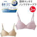 2枚組 まとめ買い グンゼ 軽ブラ ノンワイヤー ブラジャー レディース 軽ブラ 背中すっきり ノンワイヤーブラ ワイヤレスブラ ブラ ランジェリー らくちん 軽い 薄い 乾きやすい GUNZE インナー 肌着 下着 母の日 敬老の日 プレゼント EB1228N 定番 楽天 通販 送料込み
