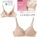 グンゼ レディース ノンワイヤー ブラジャー 綿たっぷりブラ つつみこむ安定カップ GUNZE インナー レディース肌着 下着 ノンワイヤーブラ 母の日 プレゼント TB1055H 年間定番 楽天 通販 送料込み