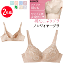 2枚組 まとめ買い グンゼ レディース ノンワイヤー ブラジャー 綿たっぷりブラ つつみこむ安定カップ GUNZE インナー レディース肌着 下着 ノンワイヤーブラ 母の日 プレゼント TB1055H 年間定番 楽天 通販 送料込み