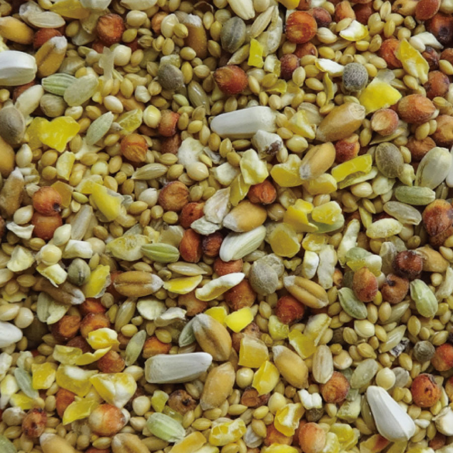 �ڤޤȤ��㤤 3�ޥ��åȡ� �ʥ�����ڥåȥա��� �������� �����ХȤΤޤ��� ��Ļ �� ���� 1.6kg ��3��