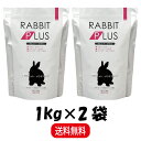 【まとめ買い 2袋】 三晃商会 ラビットプラス ダイエットメンテナンス 1kg ×2