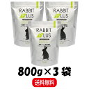 【まとめ買い 3袋】 三晃商会 ラビットプラス シニアサポート 800g ×3
