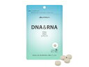 【1個までメール便は送料無料】DNA&RNA