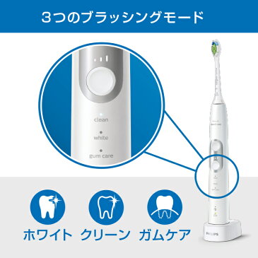 フィリップス ソニッケアー プロテクトクリーン<プレミアム> HX6877/25 HX6890/45 送料無料 電動歯ブラシ ホワイト ブラック 歯垢除去 音波水流 自然な白さ 歯ぐきケア 替えブラシ付き ギフト プレゼント お祝い