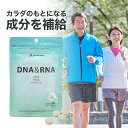 ファイテン DNA＆RNA 【メール便】サプリメント 粒 dna rna 酵母 若々しさ 1