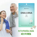 ファイテン DNA＆RNA