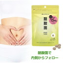 ファイテン 酪酸菌【メール便】内側環境 酪酸菌 乳酸菌 サプリ 粒 1ヵ月分 善玉菌 サポート 腸内フローラ