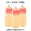 ファイテン たまねぎエキスの水 1ケース(2L×6本)【他商品との同梱不可、ご購入数・金額に関わらず送料一律660円】