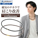 ファイテン RAKUWA磁気チタンネックレス Rex(管理医療機器)rakuwaネックレス 磁気ネックレス 肩こり 磁気チタン rakuwa ネックレス 首こり 磁気 首こりネックレス 男性 女性 メンズ レディース 健康グッズ プレゼント 首こり解消グッズ 磁気チタンネックレス