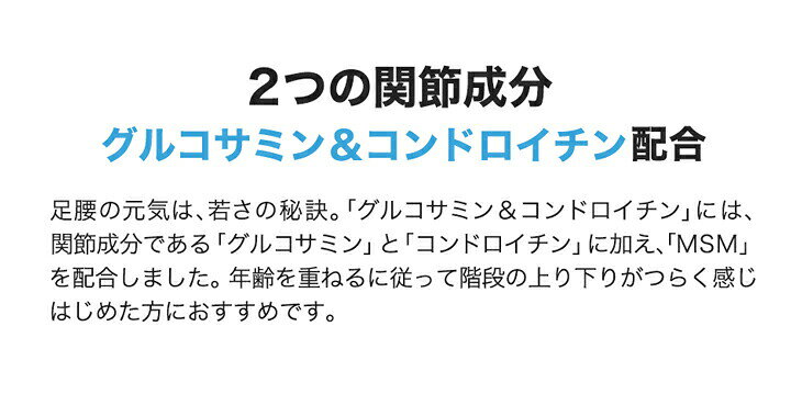 ファイテン グルコサミン＆コンドロイチン