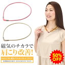【50%OFF】ファイテン RAKUWA磁気チタンネックレス Vタイプ (管理医療機器)【メール便】 肩こり ネックレス レディース メンズ 軽量 健康 磁気ネ...