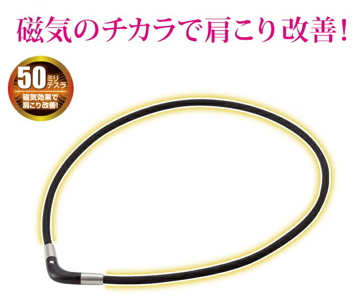 ファイテン RAKUWA磁気チタンネックレス Vタイプ (管理医療機器) 磁気ネックレス 健康 ネックレス おしゃれ 【メール便】