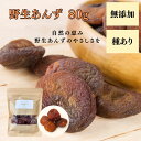 【5%オフクーポン有】あんず 80g(種あり 無添加 無農薬 砂糖不使用 美容 健康 おやつ お菓子 間食 ダイエット 低カロリー 薬膳 ドライフルーツ 野生 ...