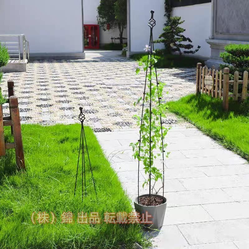 The Stage Bowl - 購入2点で5%OFF 調整可能植物サポート ガーデントレリス 組み立てる必要はありません ローズオベリスク バラ用 phoebehou オベリスク アイアン 株式会社錦花用支柱 観葉植物 トレリス 便利 使いやすい おしゃれ シンプル