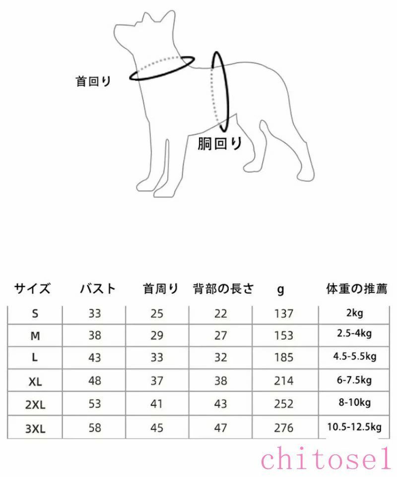 サンプル画像2