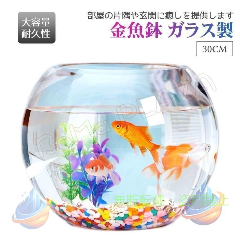 【期間限定300円OFFクーポン】30cm金魚鉢ガラス製透明丸鉢和風可愛いミニ水槽おしゃれ多機能ゾンチー観葉植物を入れて万能ガラス容器大容量金魚ベタメダカアカヒレなど家庭用