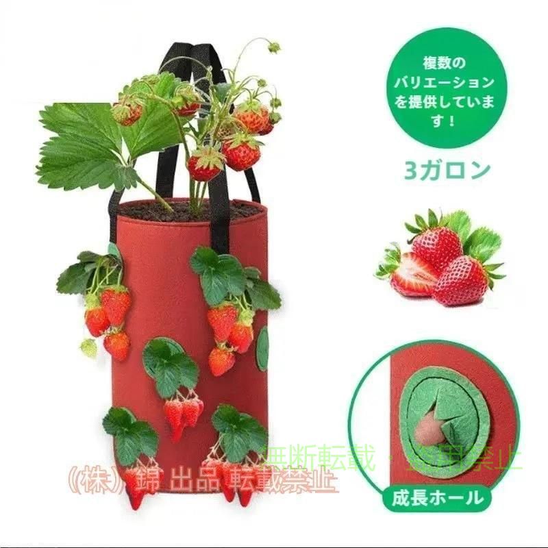 1.成長バッグの2/3に植物に優しい培養土と堆肥を入れ、上部に4つの健康なイチゴ、側面に8つのイチゴを植えます。 2.中央にそっと水を注ぎ、すべての根に水を広げます。サイドプラントに数回水をやります。 3.イチゴの植物は、毎日6~8の日光を必要とします。サイドハンドル付きで、植栽バッグはも日当たりの良い場所に簡単に移動できます。 その他の利点： これらの高品質の不織布バッグは、洗濯機で洗ったり、水洗いしたりできます。また、これらの植物成長バッグは折りたたむことができます。 バッグと中空のデザインは、過度の水やりを防ぎ、果物の腐敗を効果的に防ぎ、昆虫の被害を減らすことができます。 強く、しなやかで、軽く、イチゴが自由に育ちます。いつでもどこでもバッグを取り出すことができます。 ※いちごの苗は付属しておりません。