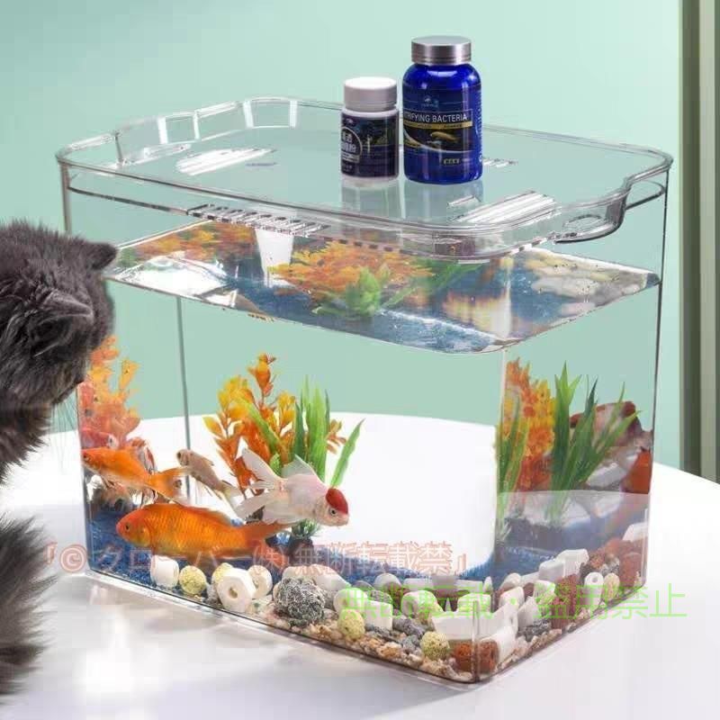 金魚鉢 水槽 飼育水槽 プラスチック テラリウム 透明アクリル 観葉植物 インテリア 容器 テーブル アクアリウム ボウル 水培 大容量 おしゃれ メダカ 鉢 インテ