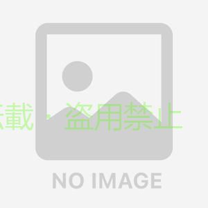 【期間限定1000円OFFクーポン】折りたたみ式足場台 四脚アジャスト式 立ち馬 洗車...