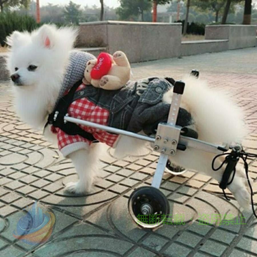 Rakuten - 犬車いす老犬用スクーター 後肢障害者用補助スポーツカー 自由に調整可能なサイズゾンチー大型補助ブラケット車椅子麻痺障害者用犬 室内用 お手入れ簡単