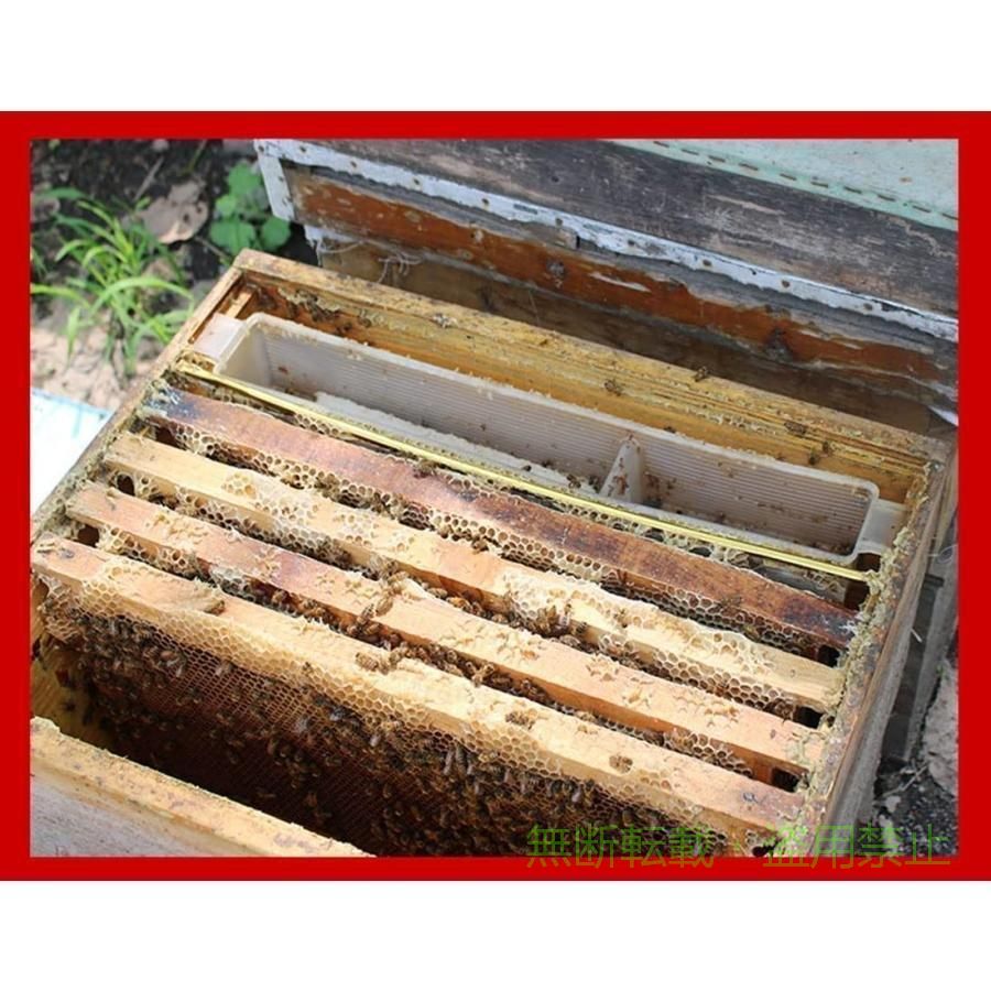 【期間限定800円OFFクーポン】ミツバチ巣箱養蜂箱蜜蜂蜂ハイブミツバチ蜂の巣ハチ...