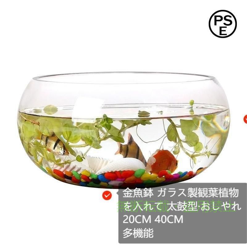 【期間限定5％OFFクーポン】19cm 24cm 金魚鉢 ガラス製 透明 丸 鉢 和風 可愛い ミニ水槽 おしゃれゾンチー多機能 観葉植物を入れて 万能ガラス容器 大容量 金魚 ベタ メダカ 家庭用