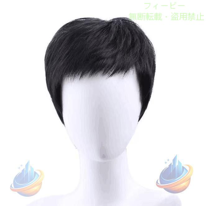 【期間限定5％OFFクーポン】ウィッグメンズ フルウィッグ かつら 男性用 メンズ シ...