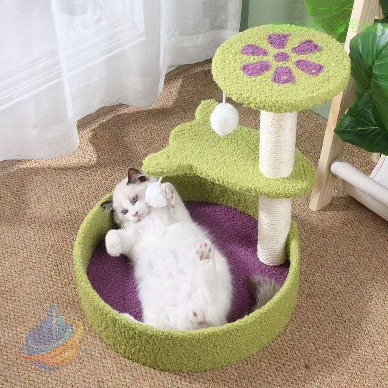 【期間限定5％OFFクーポン】猫タワー 猫用 キャットタワー 花びら型 遊び場 ベッド 猫のおもちゃゾンチー爪とぎ 夏冬 ミニ 組立て簡単 小型 子猫 省スペース コ ペット用品 お手入れ簡単