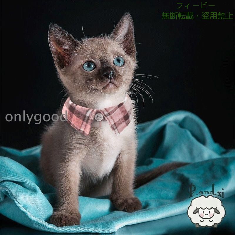 【期間限定5％OFFクーポン】首輪 猫用 猫 ネコ キャット 男の子 女の子 セーフティ...