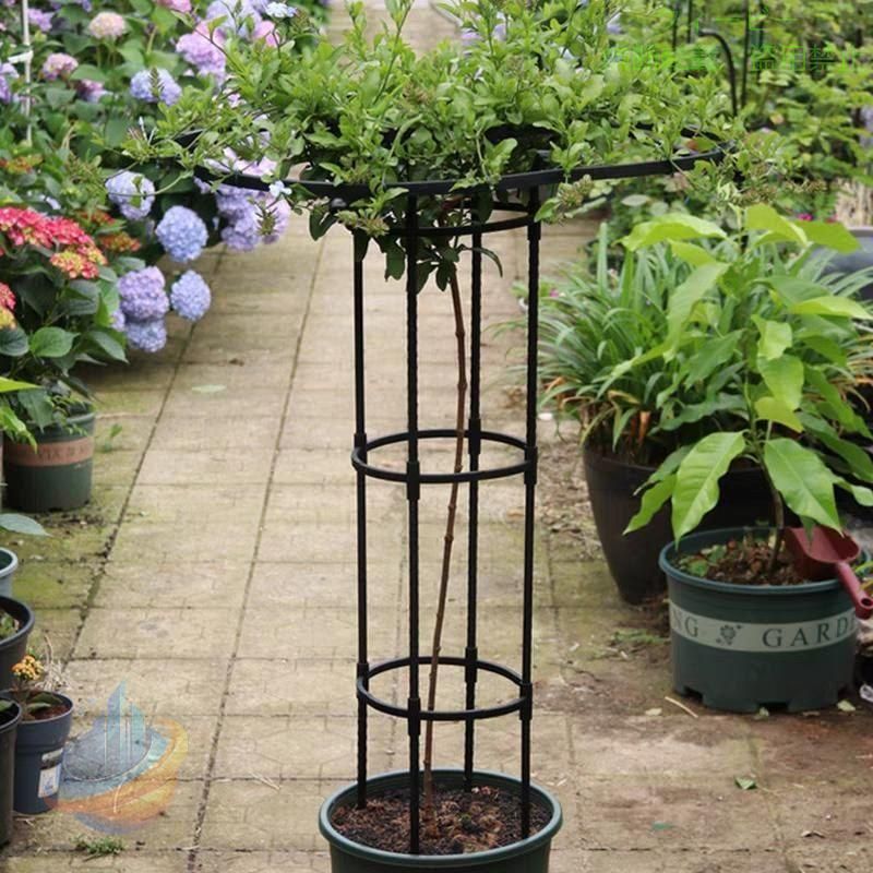 【商品概要】 ?【防錆】当社のアンブレラ トレリス タワーは、つる性植物に適した高品質の素材で構成されており、植物の焦げ付きを効率的に防ぎ、内部の鋼管の錆を防ぎます。 ?【植物を美しく吊るす】この垂直金属傘トレリス タワーは、植物を興味深い方法で展示し、庭にスタイルと自然なセンスを加えます。植物を吊るすことができるエレガントなトップリングデザインです。 ?【庭を差別化】つる性植物のサポートにより、庭のバラや野菜がトレリスを登り、庭の主役になります。室内のフラワースタンドやご自宅の鉢植えにも飾っていただけます。 ?【簡単な取り付け】完全にジョイントされた設計により、ネジが不要になり、オフシーズンの保管時にすばやく組み立ておよび分解できます。植物のトレリスは屋内外で使用できます。 ?【幅広い用途】プラントトレリスアウトドアは、バラ、クレマチス、藤の鉢植え、クレスの花の鉢植え、風車のジャスミンの鉢植えなど、鉢植えや地植えのつる植物のつるに最適です。 【商品説明】 説明：&amp;amp;amp;amp;lt;br/&amp;amp;amp;amp;gt;私たちのガーデニング パラソル フラ