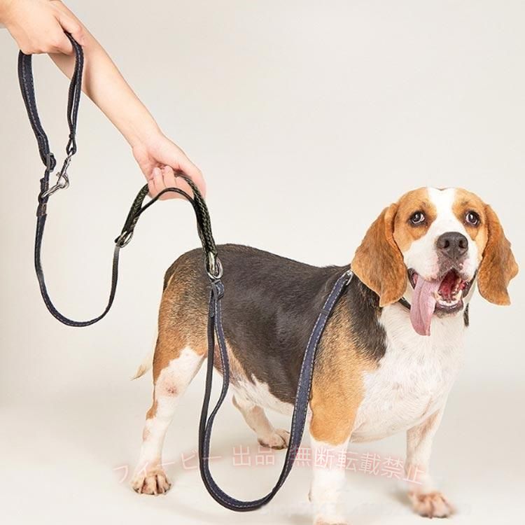 【期間限定5％OFFクーポン】大型犬ショルダーリードリード防止迷子防止ダブル犬肩...