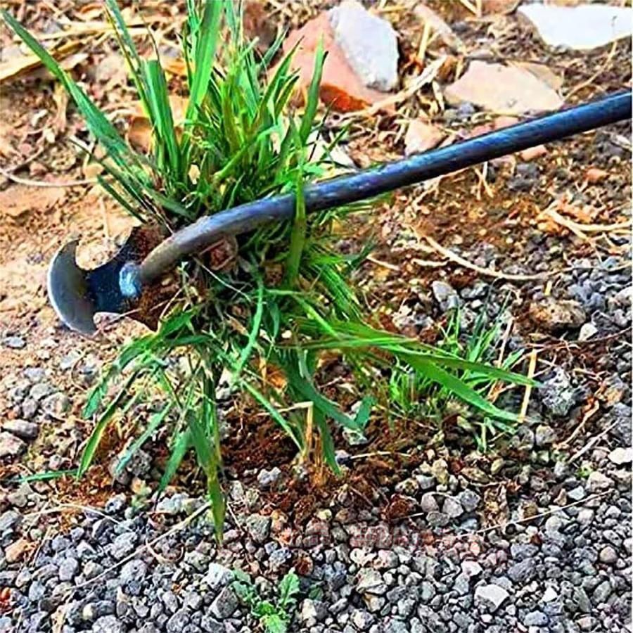 フィービーの【期間限定5％OFFクーポン】草抜き くわ 芝生 雑草抜き 道具 雑草取り器具 片手鍬 菜園鍬 ステンレス製ゾンチー 園芸用 11本鍬レーキ 耕作鍬 ガーデン 園芸用 土起こし器 農機具 おしゃれ｜アングル3