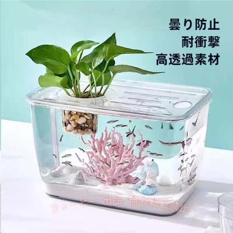 【期間限定5％OFFクーポン】金魚鉢 メダカ 透明 水槽 花瓶 アクアリウム ボトルアクアリウムゾンチー ボトルテラリウム 苔テラリウム コケリウム ペット用品 飼育 おしゃれ 清潔 使いやすい