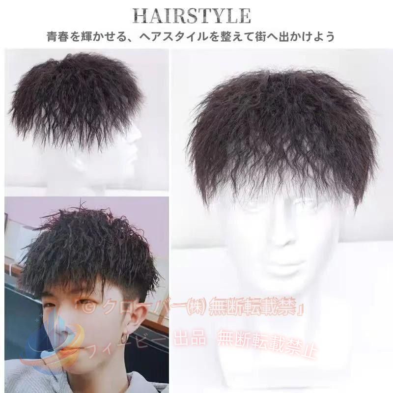 【期間限定300円OFFクーポン】メンズウィッグ フルウィッグ 男性用ウイッグ 耐熱ウ...