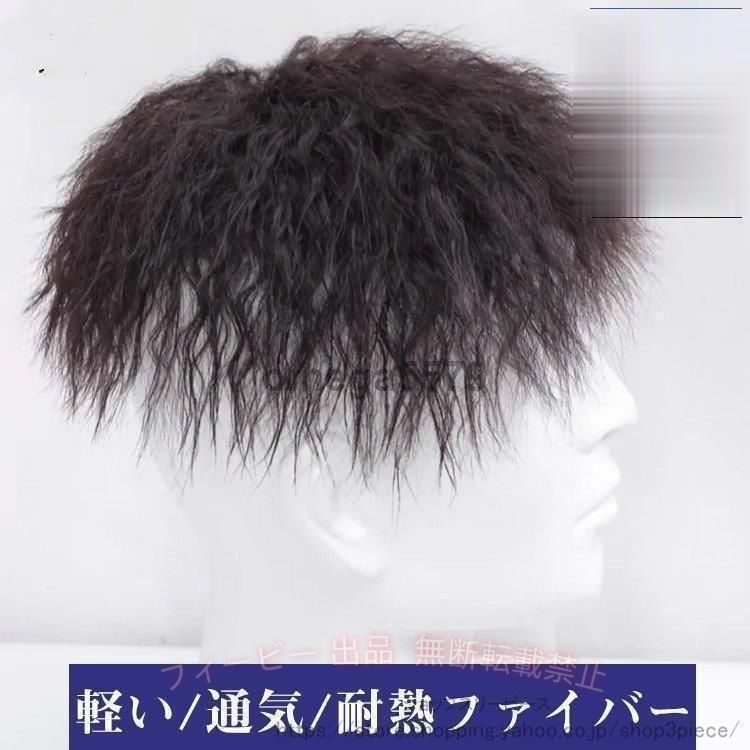 【期間限定300円OFFクーポン】メンズウィッグ フルウィッグ 男性用ウイッグ 耐熱ウ...