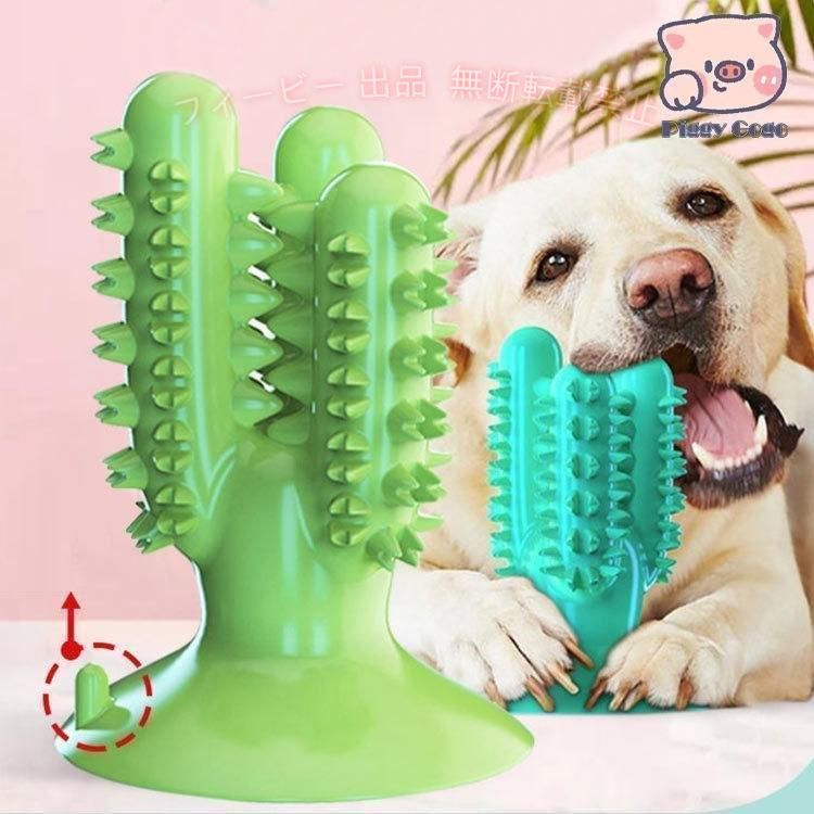 フィービーの【期間限定5％OFFクーポン】犬 犬用 歯磨き 吸盤 インタラクティブ玩具 犬用品 噛む ペットゾンチー歯ブラシ おもちゃ 噛むおもちゃ サボテン形 歯ぎしり クリーニング 小型犬 猫用｜アングル3