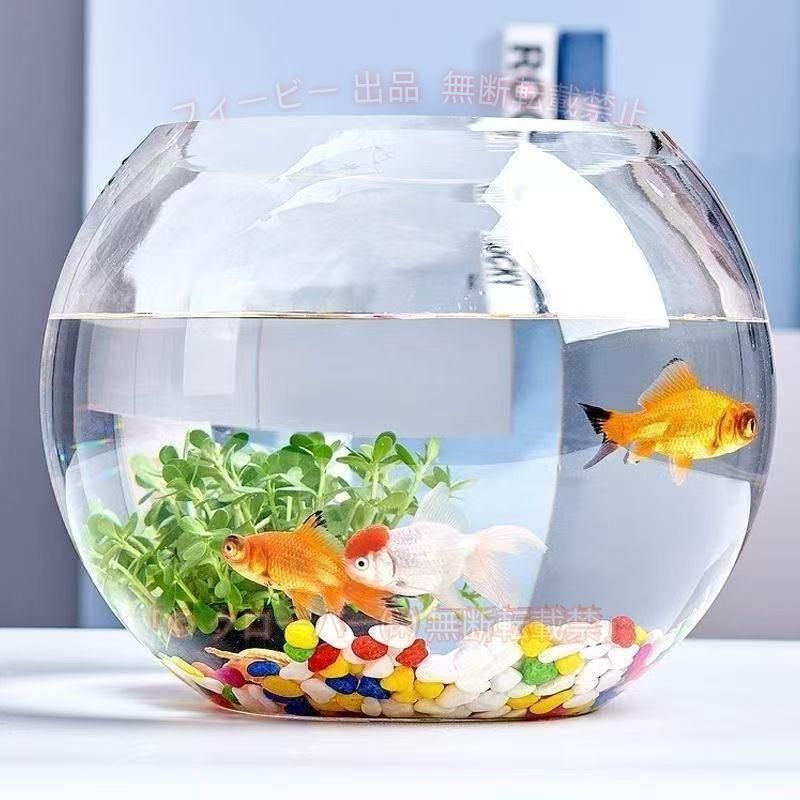 【期間限定500円OFFクーポン】金魚鉢 丸型金魚鉢 水槽 小型水槽 飼育水槽 ガラス メダカ メダカ鉢ゾンチー透明 テーブル アクアリウム ボウル 観葉植物 大容量 おしゃれ インテリア 多肉植物