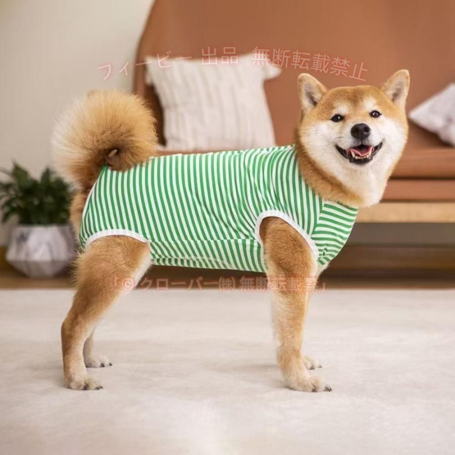【期間限定5％OFFクーポン】中 大型犬用術後ウェア イヌ術後服 術後着 春夏 腹部の...