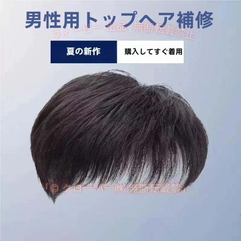 【期間限定300円OFFクーポン】ウィッグ 男性用 かつら 人毛ウィッグ 中年 自然黒 ...